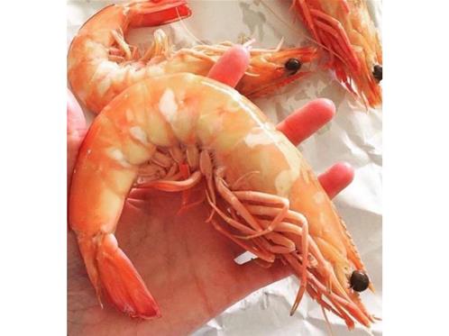 Jumbo Karides